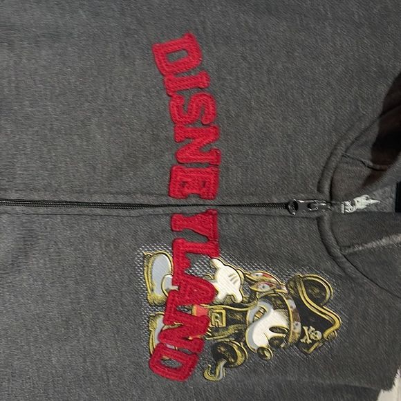 Unisex Gray Sleeveless Disneyland  Hoodie Medium - Picture 6 of 14
